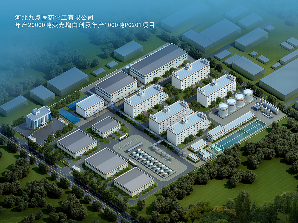 河北九点医药化工有限公司